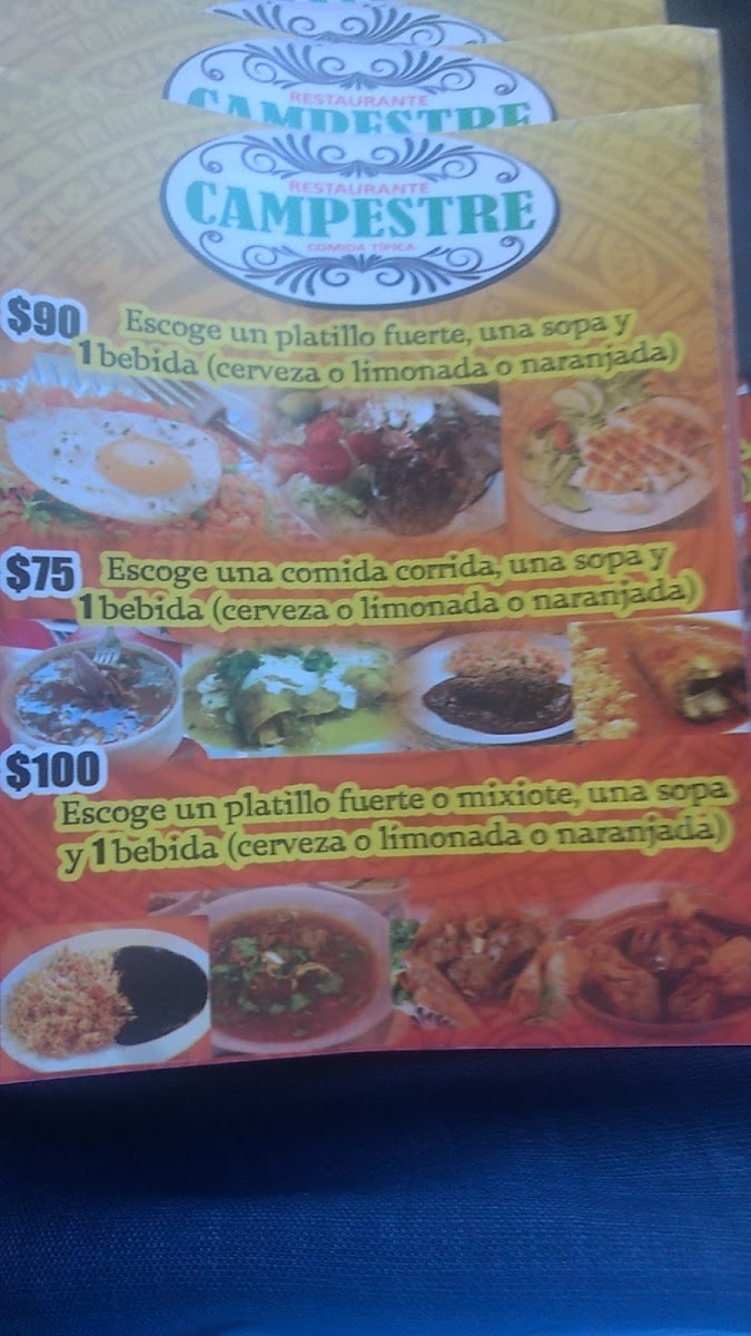 Comida Tipica Campestre Menu - Image 6